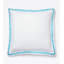 510 Thread Count Cotton Percale Euro Sham with Sky Border Frame-1531468014