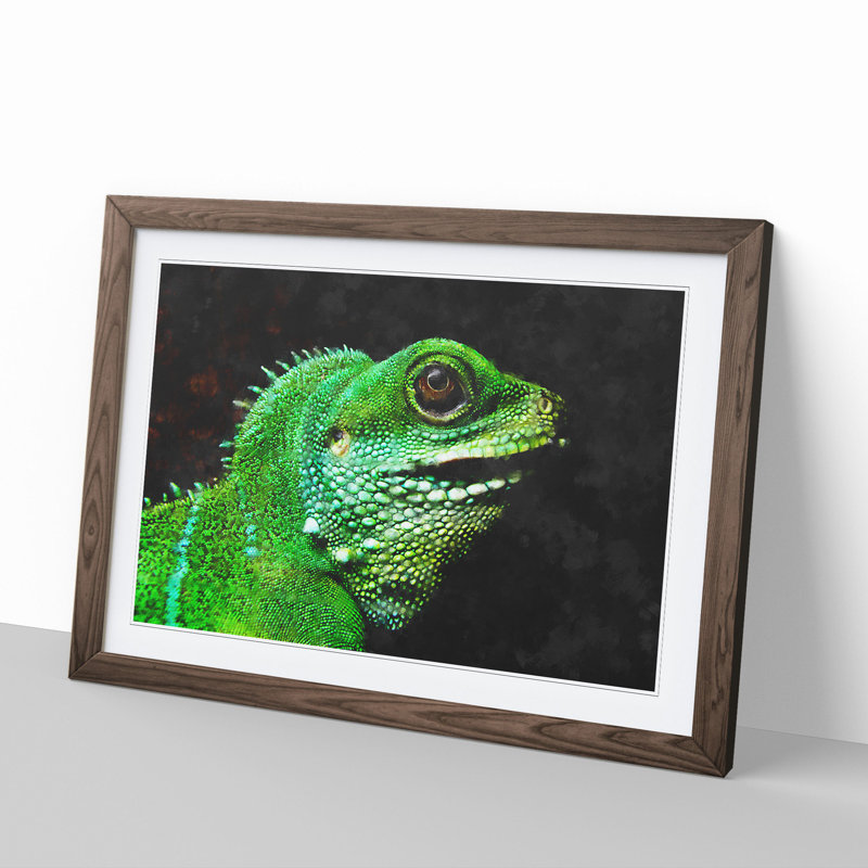 Iguana Lizard - Picture Frame Graphic Art, Walnut Framed, 27cm H x 36cm W x 2cm D
