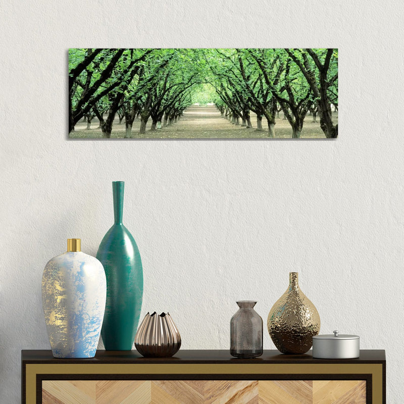 Hazel Nut Orchard, Dayton, Oregon, USA - Wrapped Canvas Panoramic Print, 30.48 cm H x 91.44 cm W x 1.91 cm D