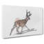 Sketch Of A Stag In Abstract - Wrapped Canvas Print-55339274