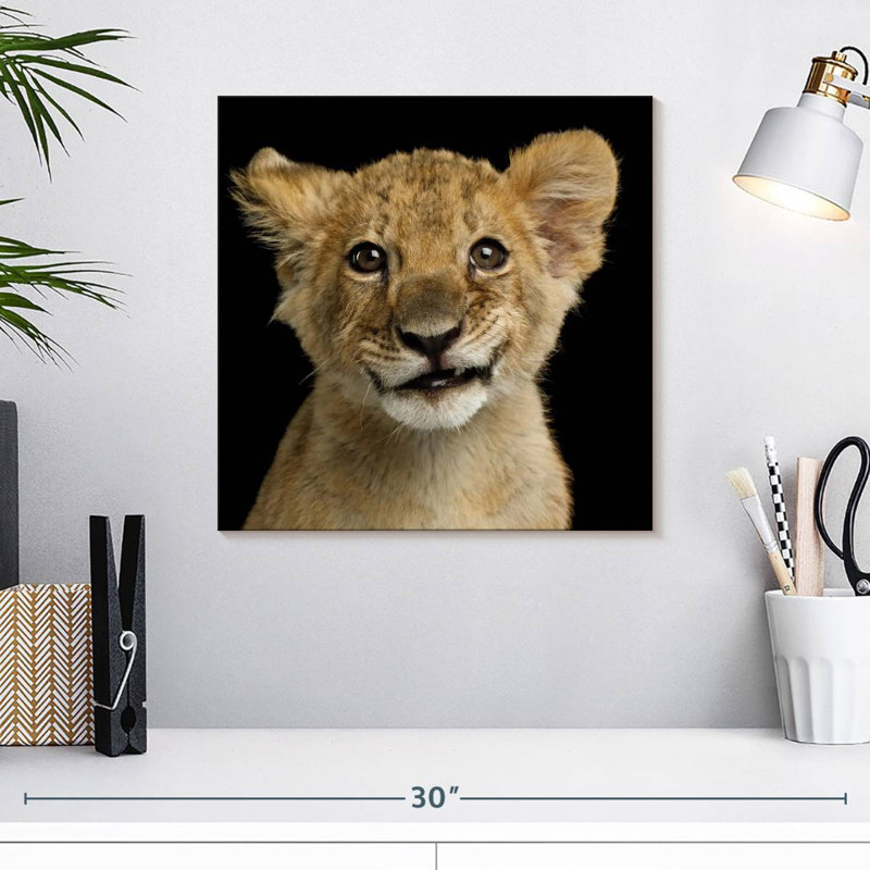 Tête de lion Brampt, H 16 po x l 16 po