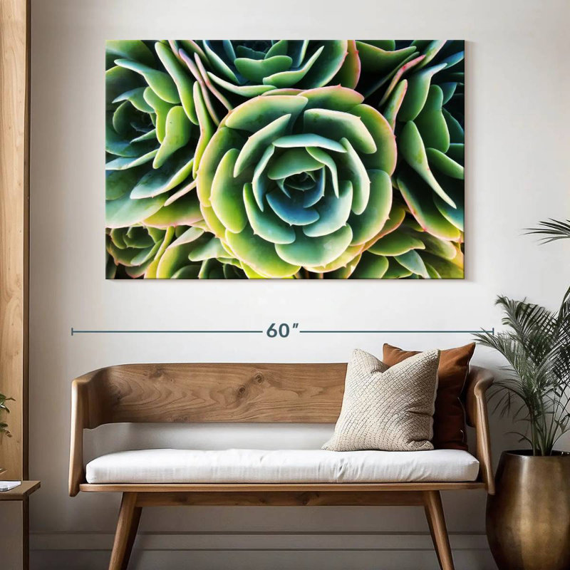 Rose succulente Harnek, H 34 po x l 51 po