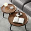 Ensemble de 2 tables basses Mid-Century Modernes