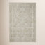 Rifle Paper Co. x Loloi Natural Floral Rug