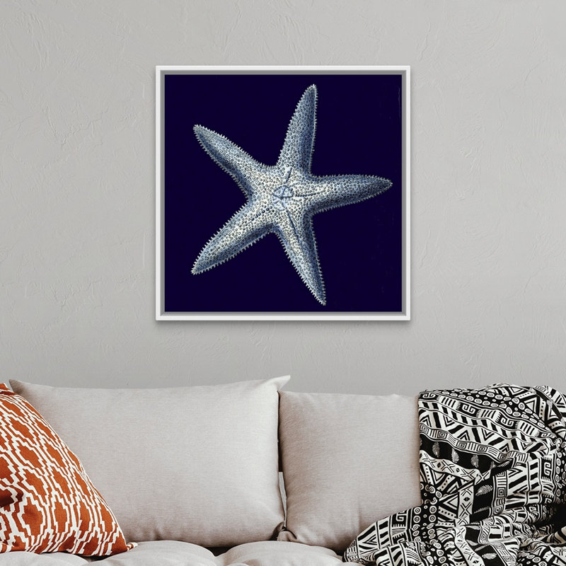 « Indigo shells IV » par vision studio-impression, Cadre blanc, H 32 po x l 32 po x 1,75 po