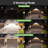 40-Watt LED Dusk to Dawn Outdoor Security Flood Light with Motion Sensor