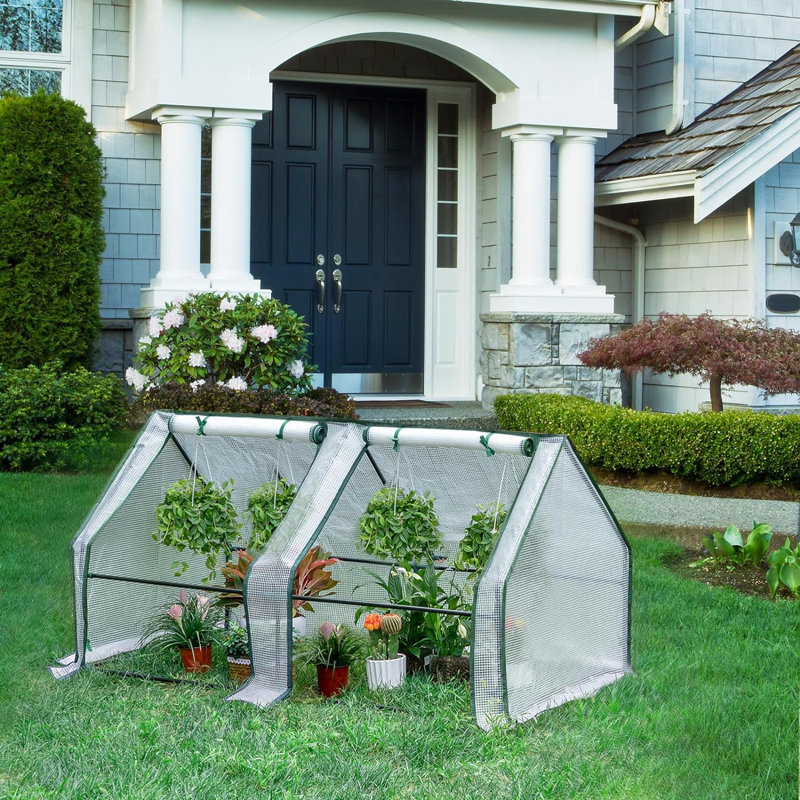 Braea 6 Ft W x 3 Ft D Mini Greenhouse, Green