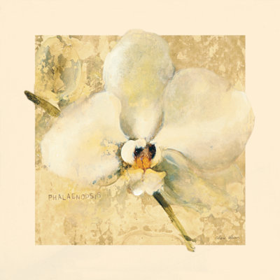 " Exotic Floral III Crop " by Cheri Blum