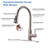 Modern Single-Handle Pull-Down Sprayer Kitchen Faucet with Lead-free in Stainless Steel-100392490