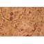Tapis oriental brun en laine Pastrana