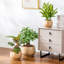 Ceramic Pot Planter-534234029-534234028