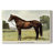 Animals Landscape Series CCIX-1374677408