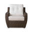 Largo Outdoor Lounge Chair-15909570