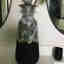 Photos des clients 1 de 2