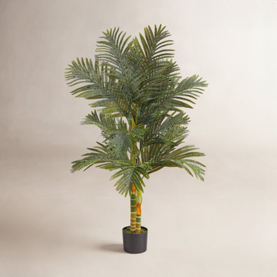Palm Tree in Planter