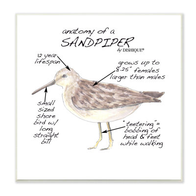 " Sandpiper Beach Bird Wildlife Learning Facts Chart " by Dishique