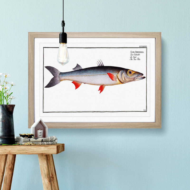 Sea-Pike Fish by M.E. Bloch - Picture Frame Painting Print, 27cm H x 36cm W x 2cm D, Oak Framed