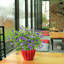 Plantes artificielles garanties artificielles, résistantes aux rayons UV et résistantes à la décoloration pour jardinières suspendues-503786372-503786379