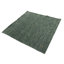 Tapis uni uni vert 5X5