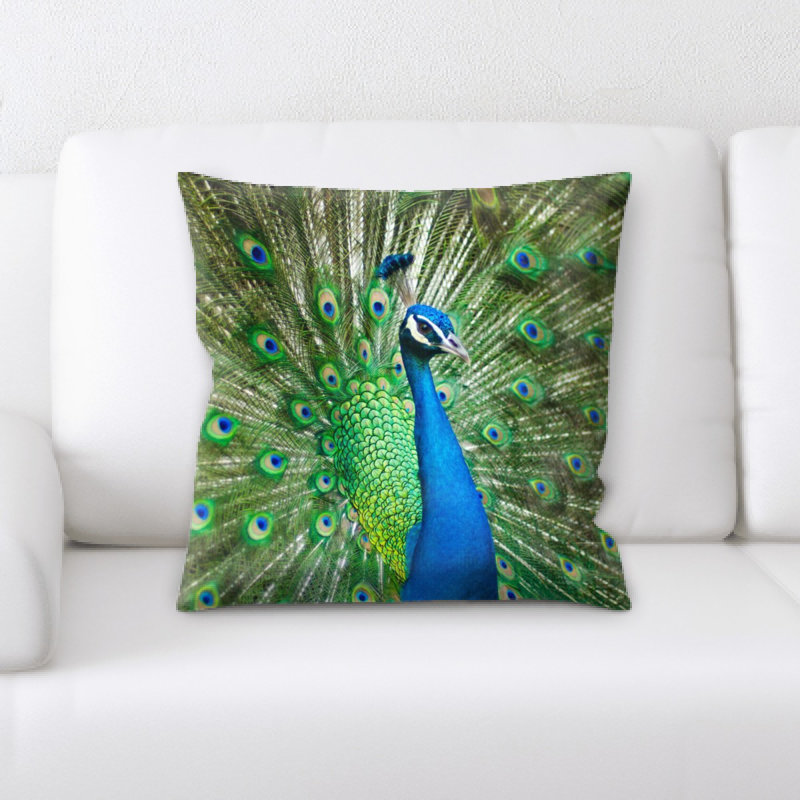 Magnifique coussin de peacock masculin