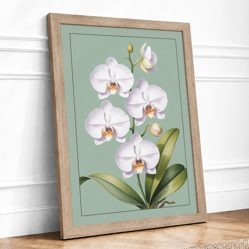 White Orchids In Bloom Botanical - Print, A1 - 84.1 x 59.4 cm, Oak