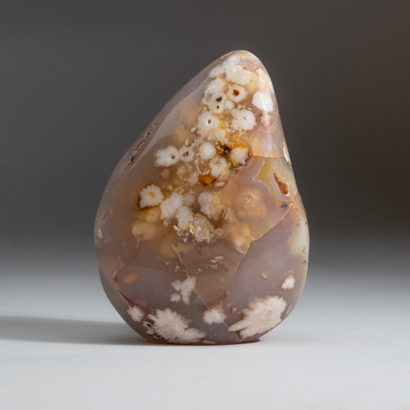 Genuine Polished Flower Agate Freeform from Madagascar (1.4 Lbs)