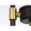 Lustre de style moderne-contemporain de 47 po Conchur noir mat-1770860061