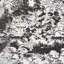 Schumacher x Johnson Hartig Modern Toile Wallpaper-45074272