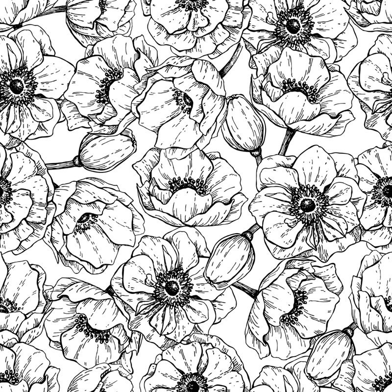 Buchananjr 2.5m x 2.5m Matte Wallpaper Roll, 250 x 250cm