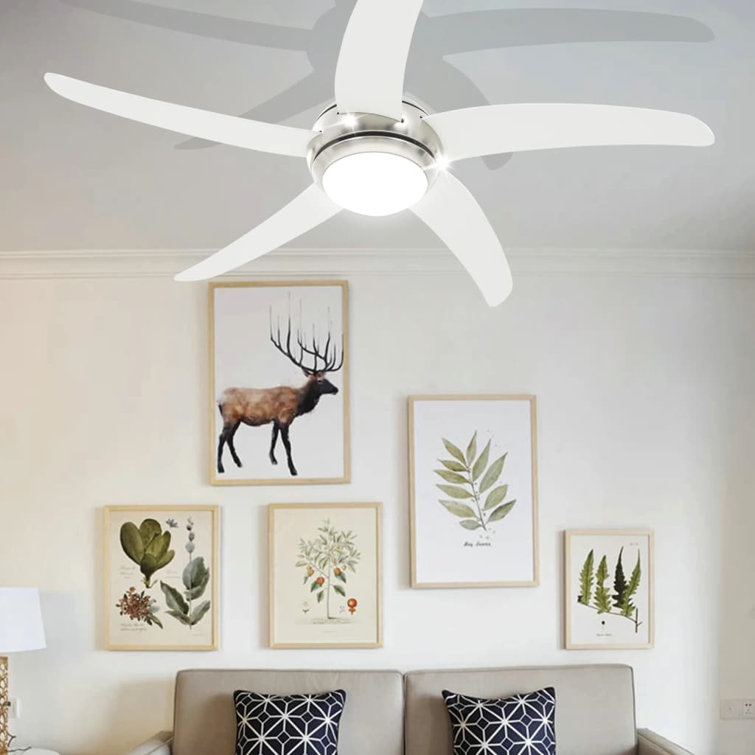 Kitt 128cm Ceiling Fan with Light Kit