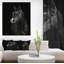 «Black Horse in Darkness», reproduction de photo sur toile tendue-29496064
