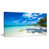 Wrapped Canvas