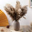 50 pièces Boho Decor, pelucheux herbe de Pompas, herbe de Pampas naturelle sèche petite, courte vampire pour chambre Boho, décoration de table basse