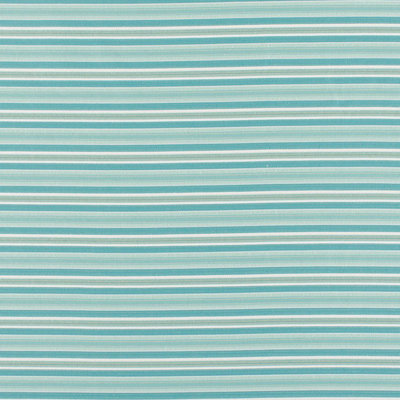 Tissu Elements Steps Beach