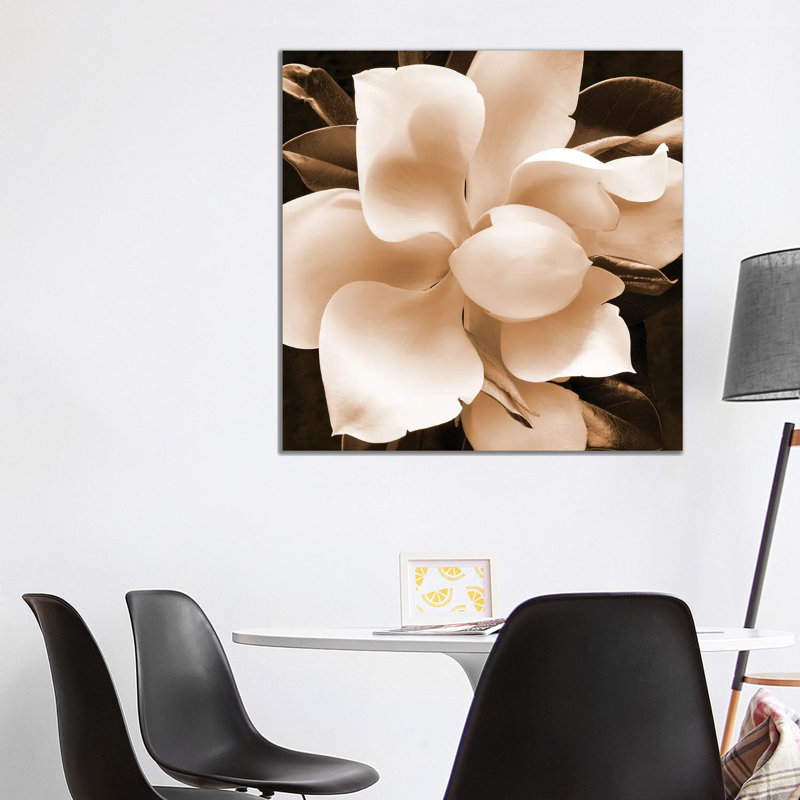 Sepia Magnolia II by Christine Zalewski - Wrapped Canvas Print, 93.98 cm H x 93.98 cm W x 1.91 cm D