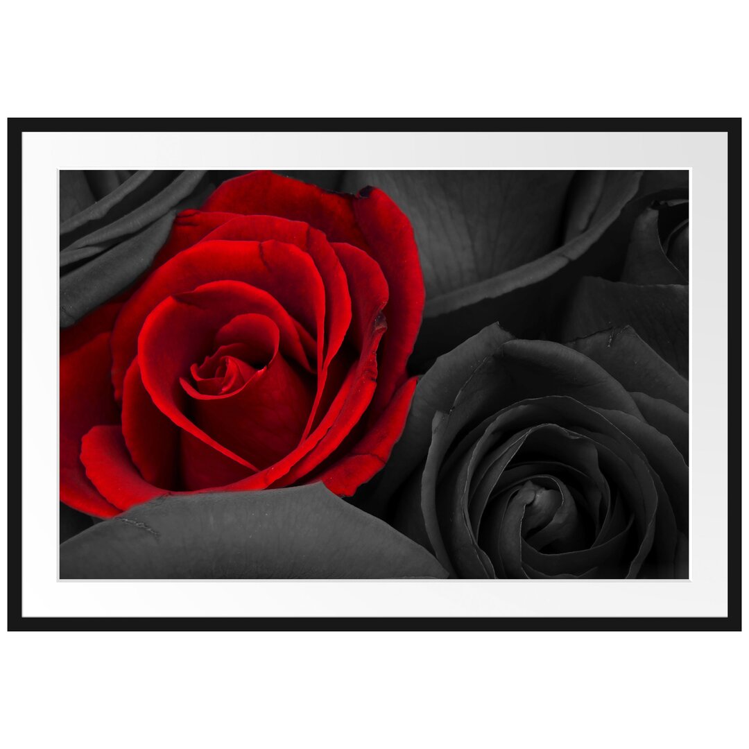 Gerahmtes Poster Romantische rote Rosen