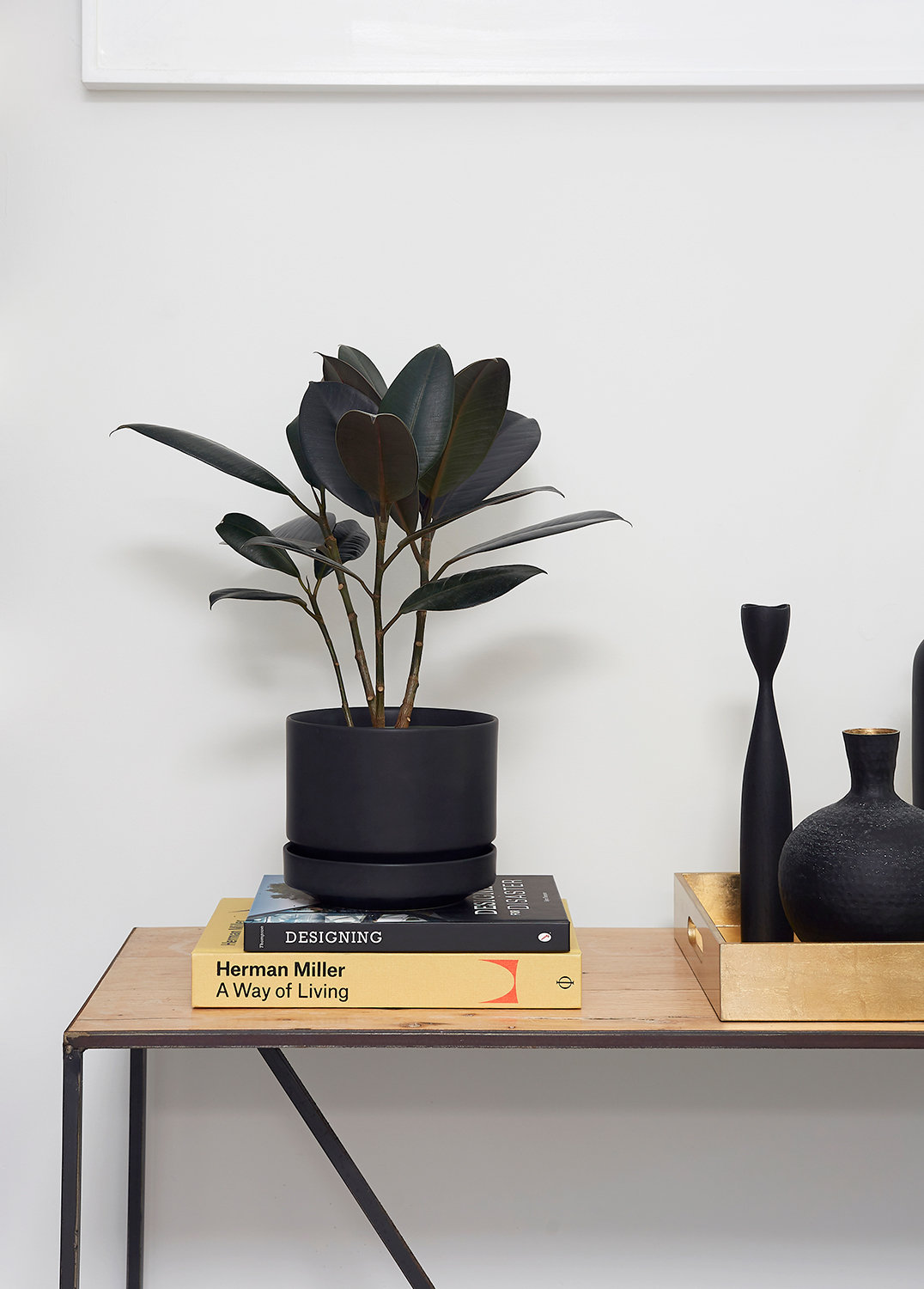 Byer Ceramic Pot Planter, 9.25" H x 10.25" W x 10.25" D, Black