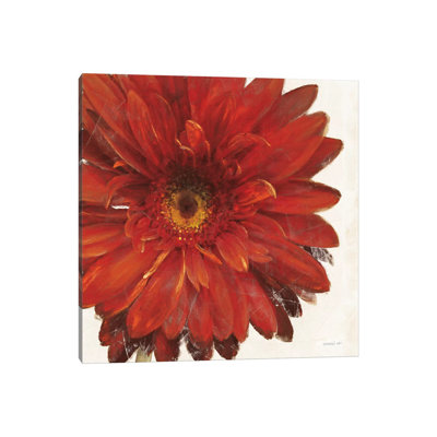 Vivid Daisy Dark Red Crop by Danhui Nai - Wrapped Canvas Painting