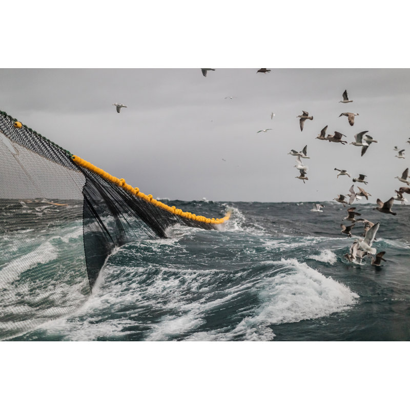 Filet de pêche au chalut industriel par Piola666, H 20 po x l 30 po