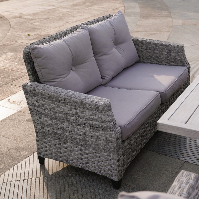 Alseepa 50 " W Straight Metal Loveseat with Cushions