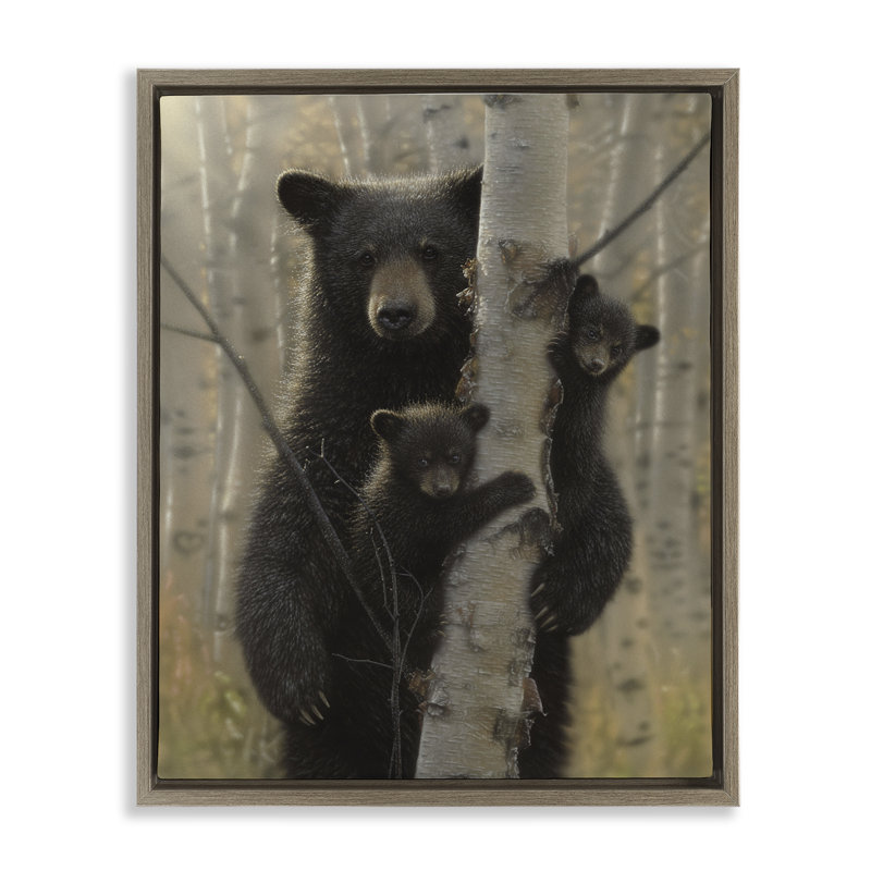 Cadre flottant derrière un arbre Mama Bear, design Collin Bogle, Cadre flottant orme Montalcino, H 31 po x l 25 po