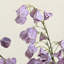 Ornements de fleurs simulées