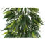 Buisson artificiel de manguier-287819049