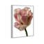 Droplet Tulip II Print by Oliver Gal-321083683-321083709