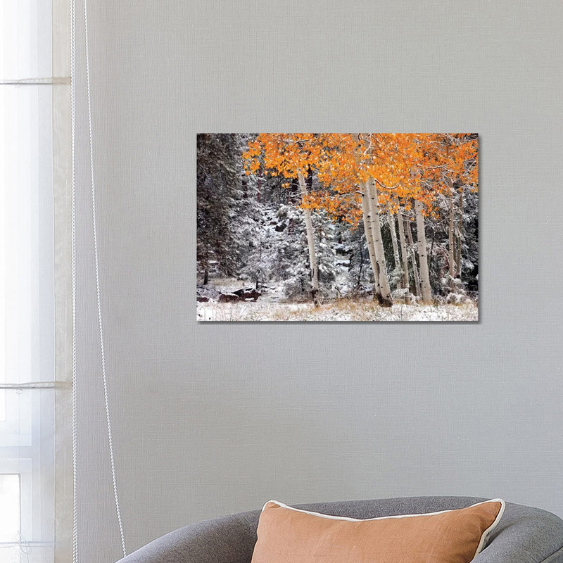 A Little Bit Of Winter by Mike Jones - Wrapped Canvas Print, 66.04 cm H x 45.72 cm W