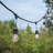 Herodias 48FT 24-Bulb Outdoor Standard String Light Shatterproof Linkable