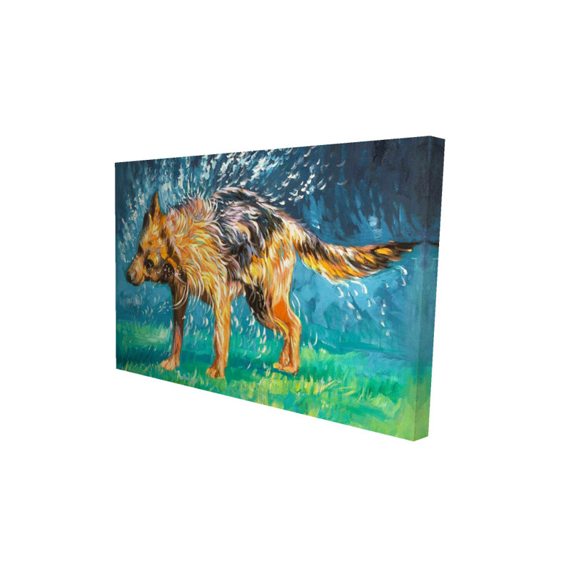 Art sur toile, "Spin-Dry Wet German Shepherd", H 36 po x l 24 po