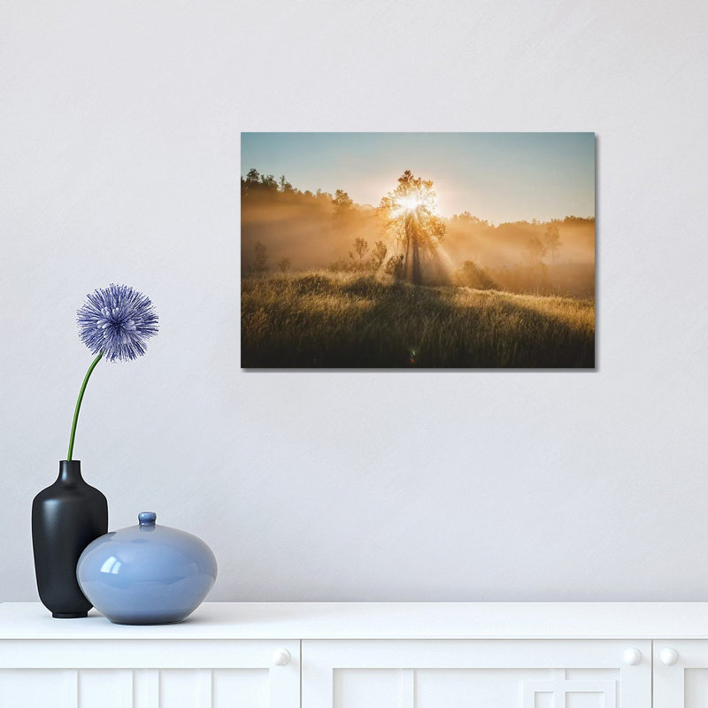 Tree Of Life by Steffen Fossbakk - Wrapped Canvas Print, 30.48 cm H x 45.72 cm W