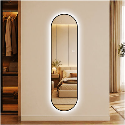 Miroir mural pleine longueur à DEL dimmable en forme de capsule de 65 po x 18 po avec cadre noir