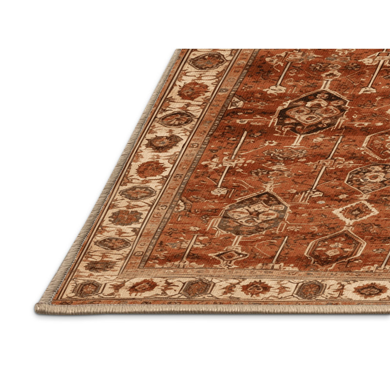 Tapis brun turc lavable à la machine, Rond 5 pi